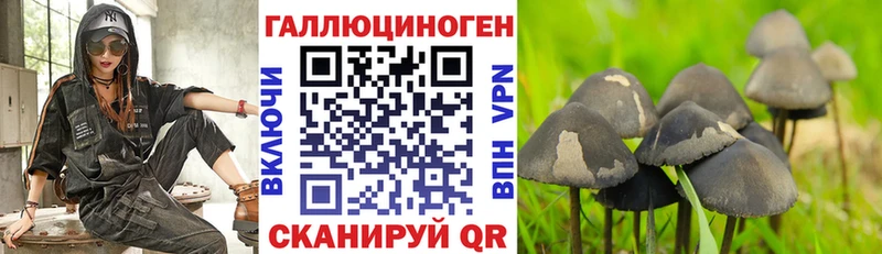 Псилоцибиновые грибы прущие грибы Баймак
