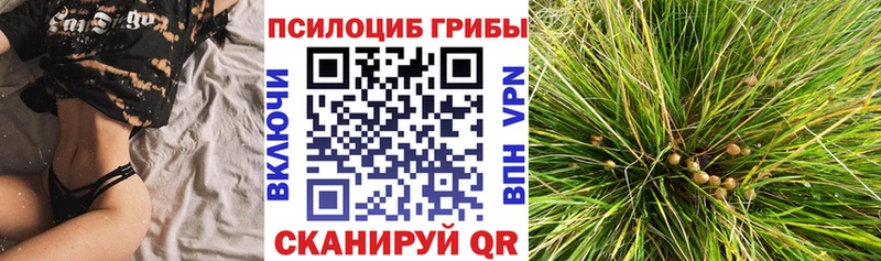 Галлюциногенные грибы ЛСД  купить наркотики цена  Баймак 