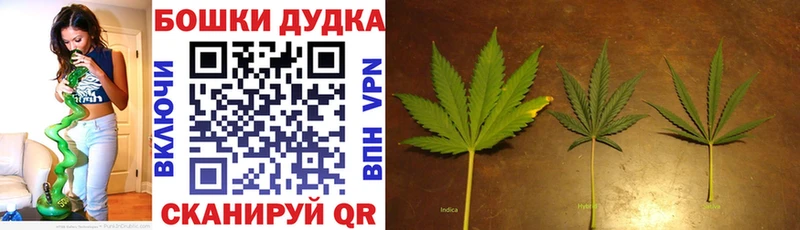где найти   Баймак  Каннабис план 